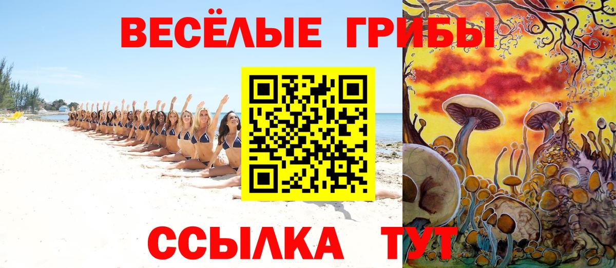 Галлюциногенные грибы Cubensis  Галлюциногенные грибы GOLDEN TEACHER  Вход с VPN  Волгодонск 