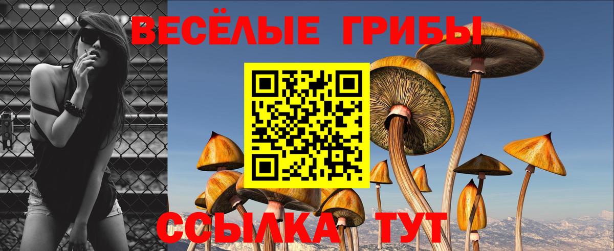 Галлюциногенные грибы MAGIC MUSHROOMS Волгодонск